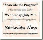 ProgressPartyJuly2010-1- Serenity Now