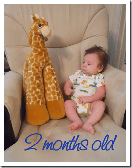 james & the giraffe