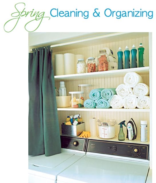 SPRING Cleaning & Organizing {Home Management Notebook & Daily Agenda}