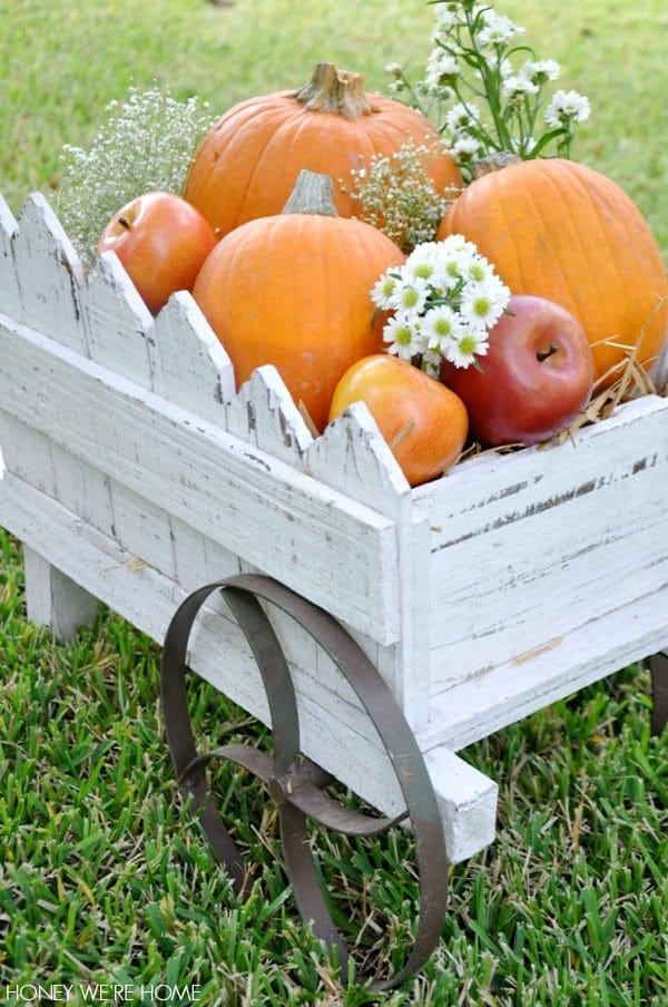 Fall Decor Pumpkins Flowers And Baby