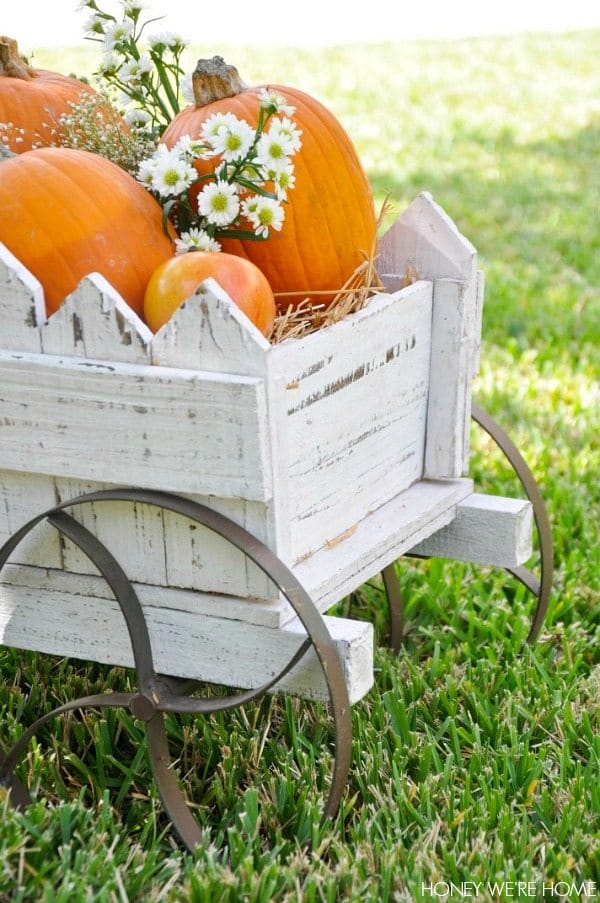 Fall Decor : Pumpkins, Flowers and Baby Breath
