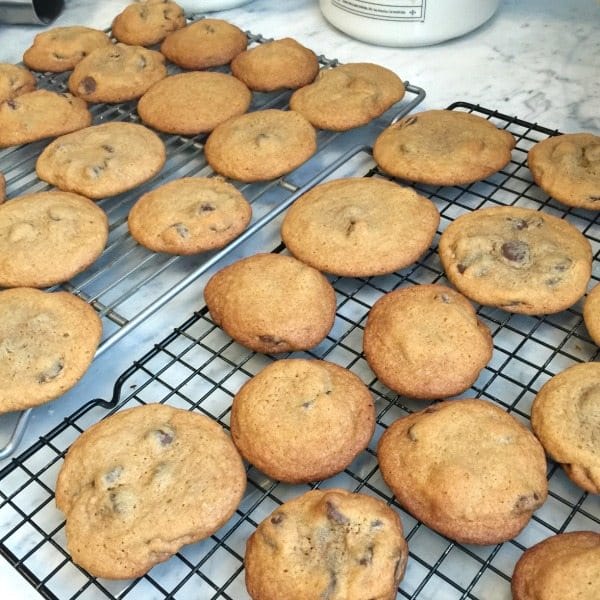 Homemade chocolate chip cookies