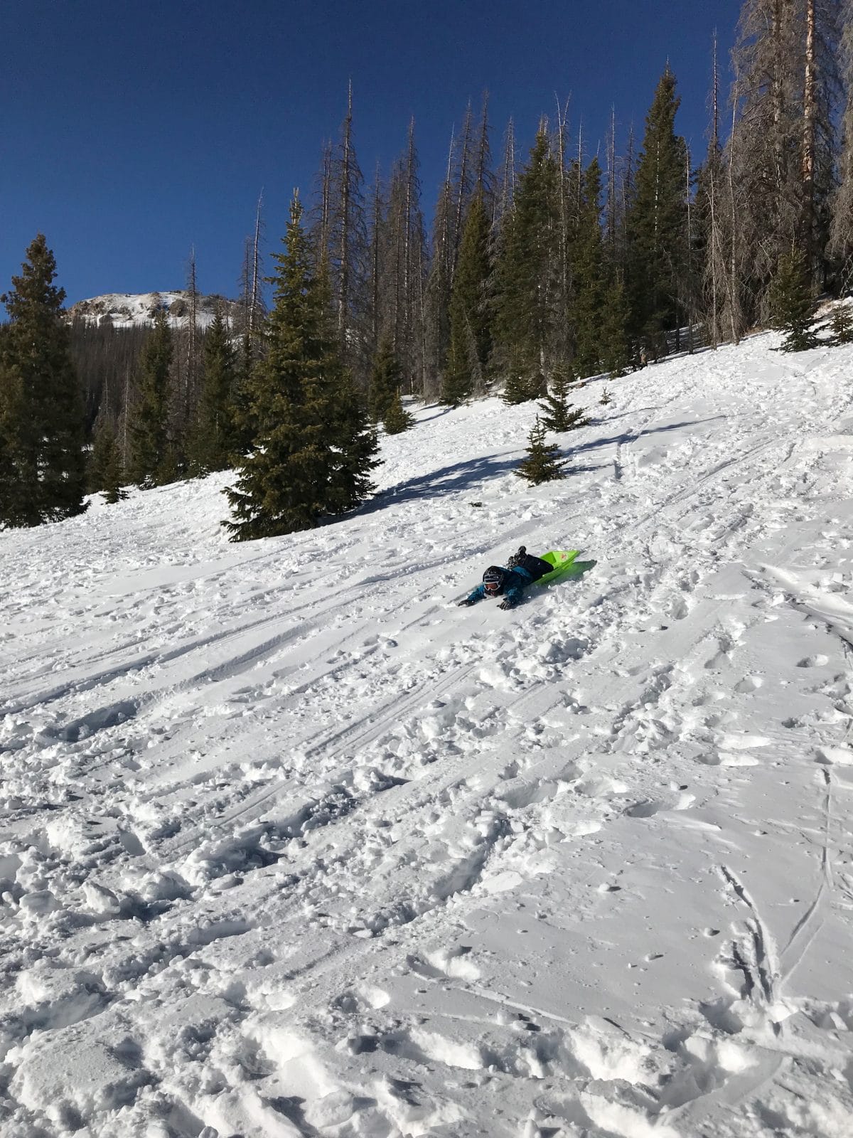 Family ski trip with toddler - sledding