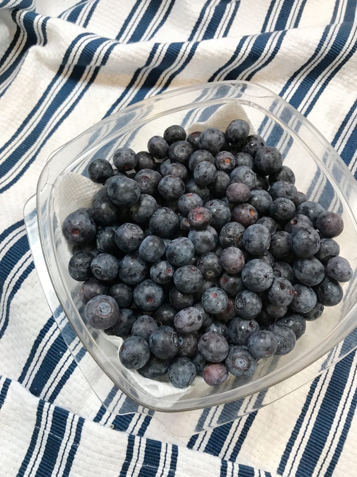 How to keep blueberries fresh