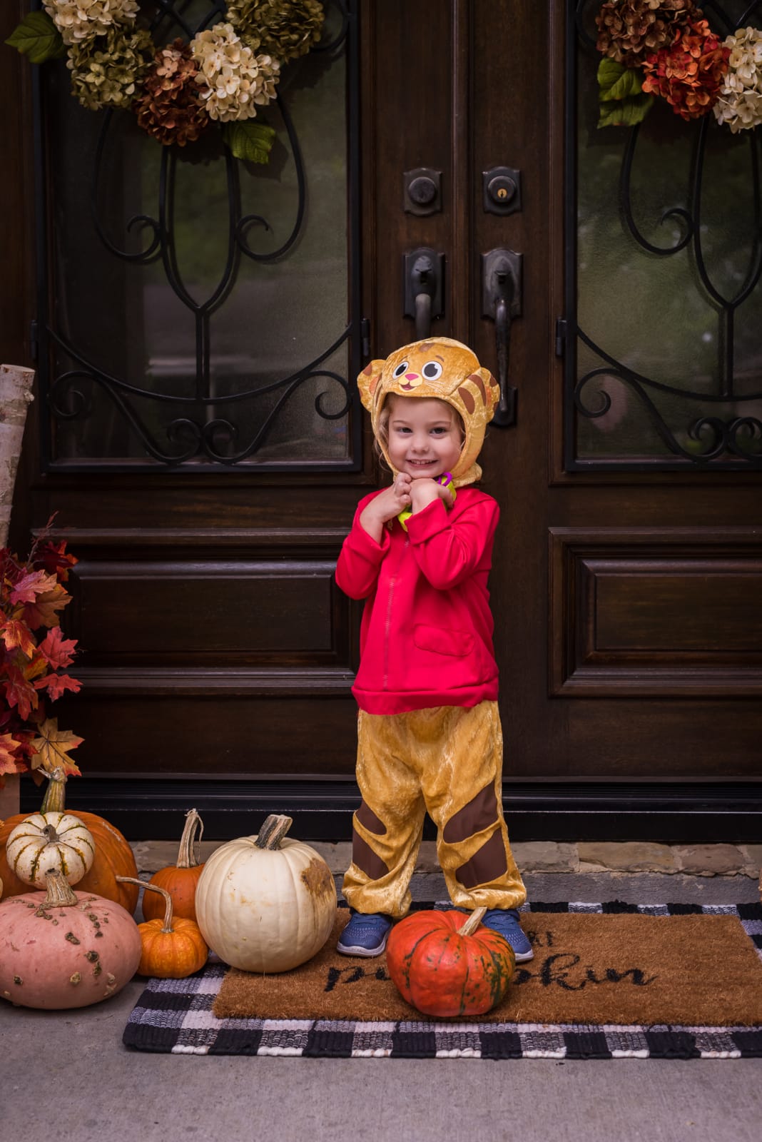 Daniel Tiger Toddler Costume.2