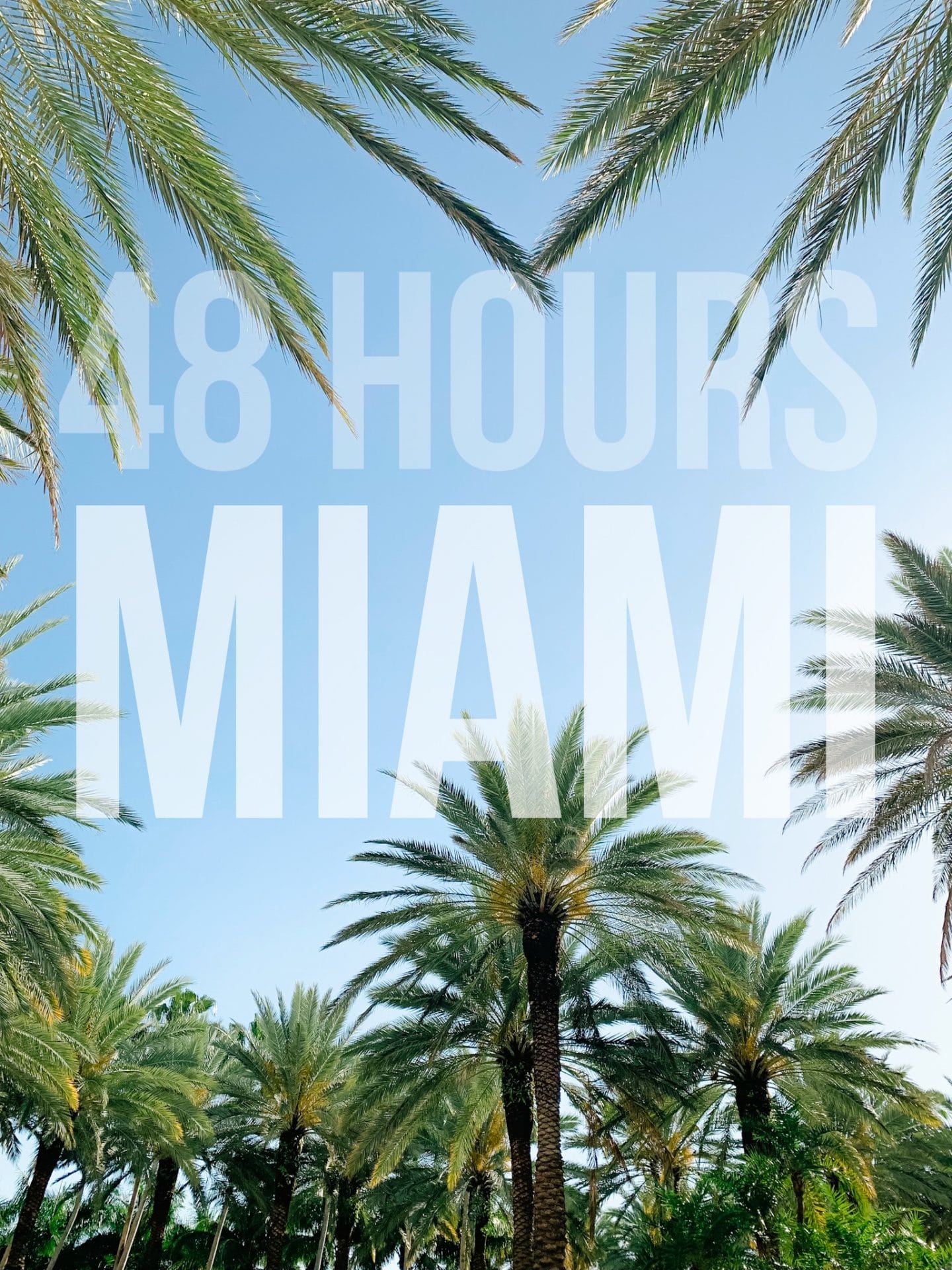 48 Hours in Miami Beach Florida
