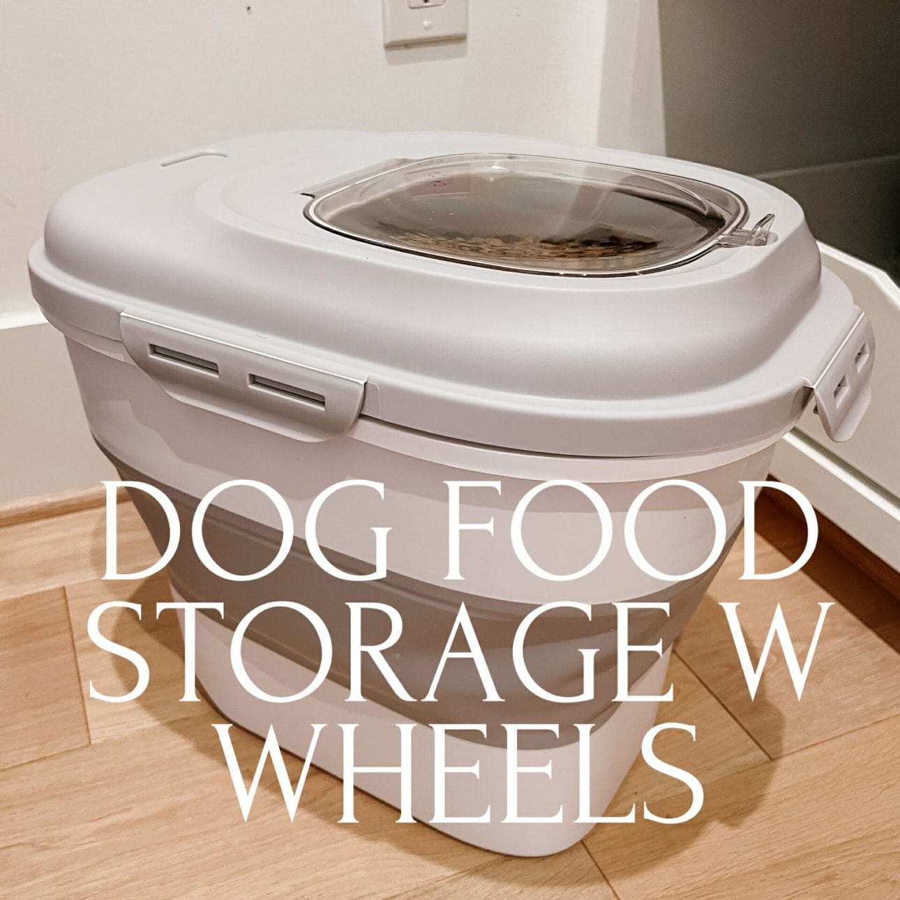 Dog Food Containers 