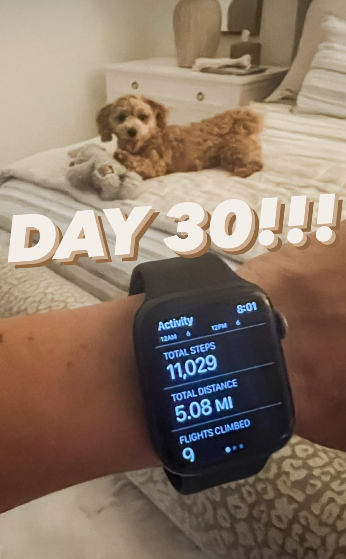 I Walked 10,000 Steps a Day for 30 Days